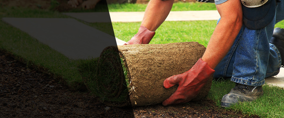 Dallas Landscapers